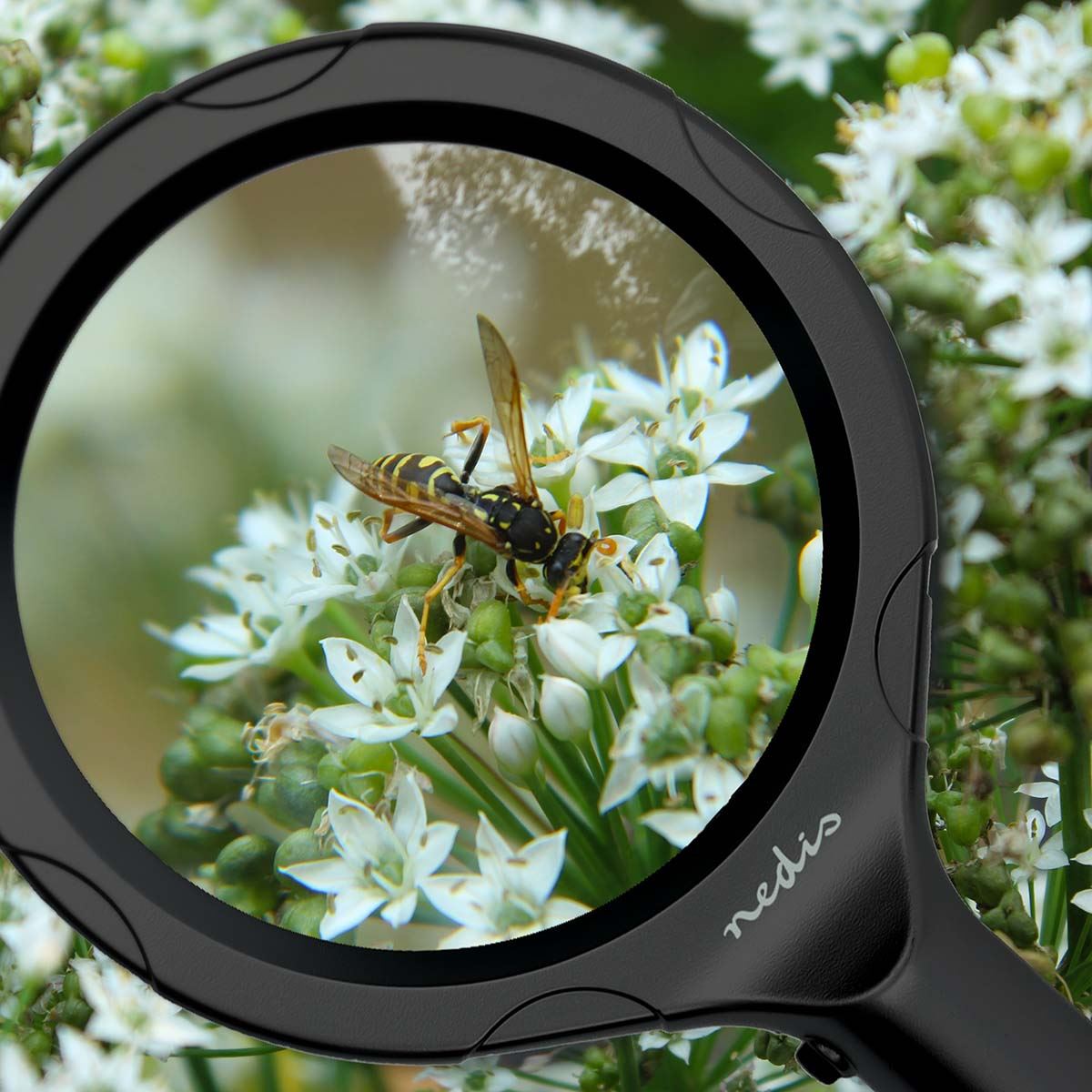 Nedis Handheld LED Magnifiers | Lens strength: 4 Diopter | 10000 K | 0.05 W | 9 lm | Black
