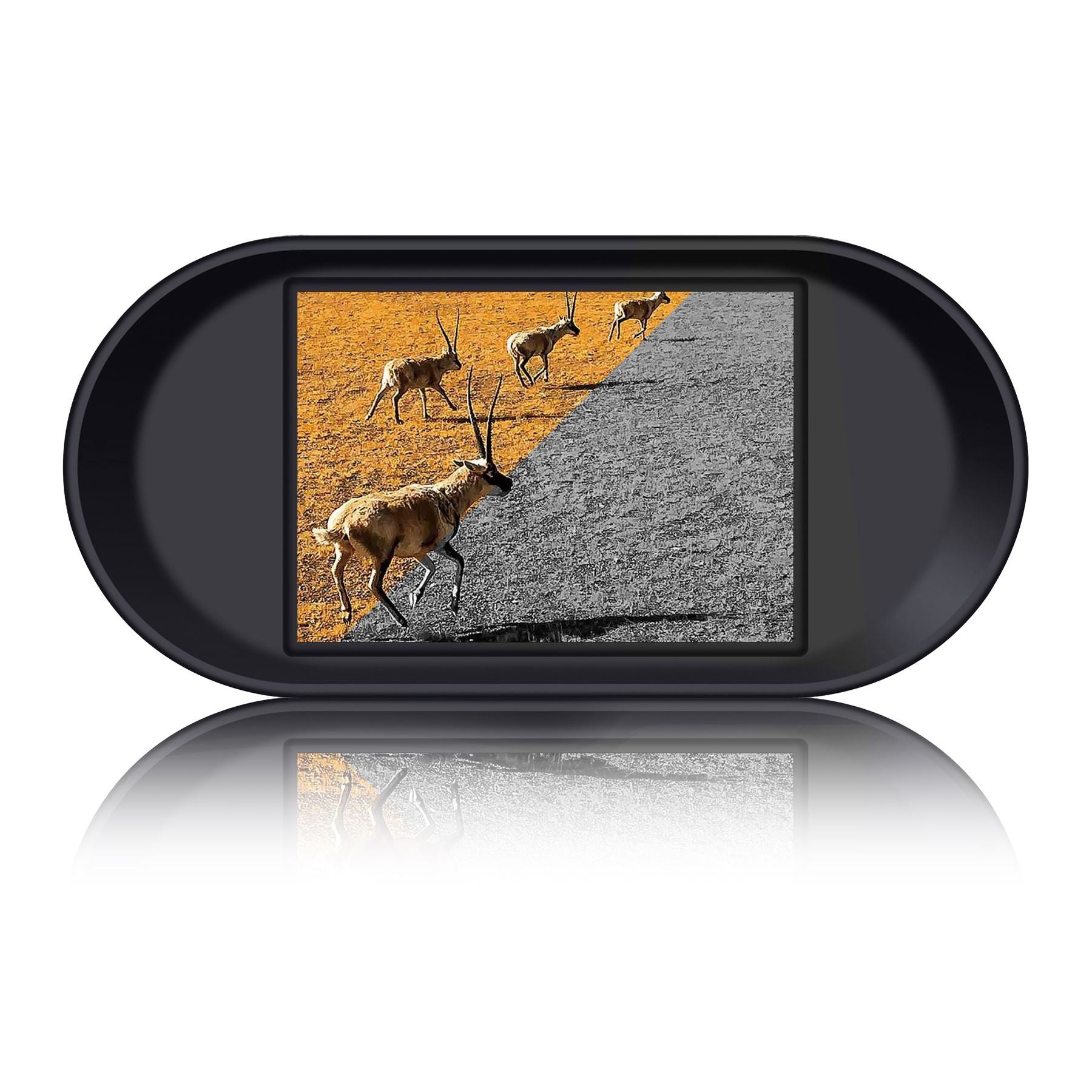 Lenco Night Vision Camera with Photo and Video Recording |Black