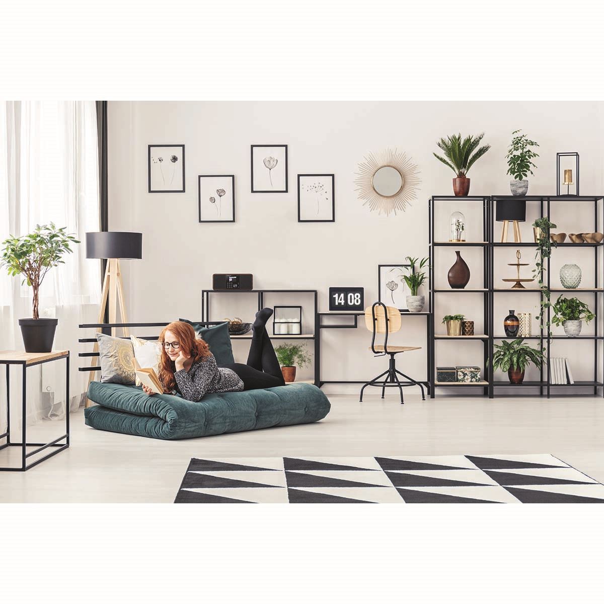 Telestar DIRA S 24i Multifunctional Stereo Radio DAB+ / FM / Internet / Bluetooth Wood