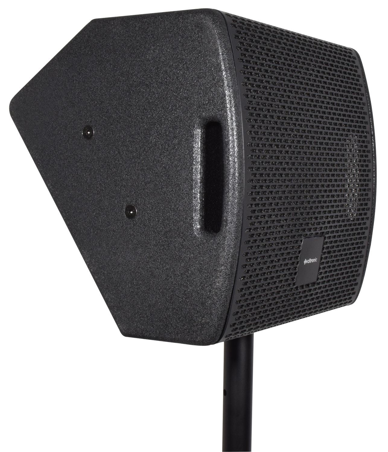 Citronic CM10 Passive Wedge Speaker 250Wrms