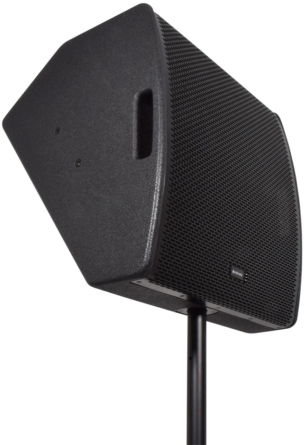 Citronic CM15 Passive Wedge Speaker 350Wrms