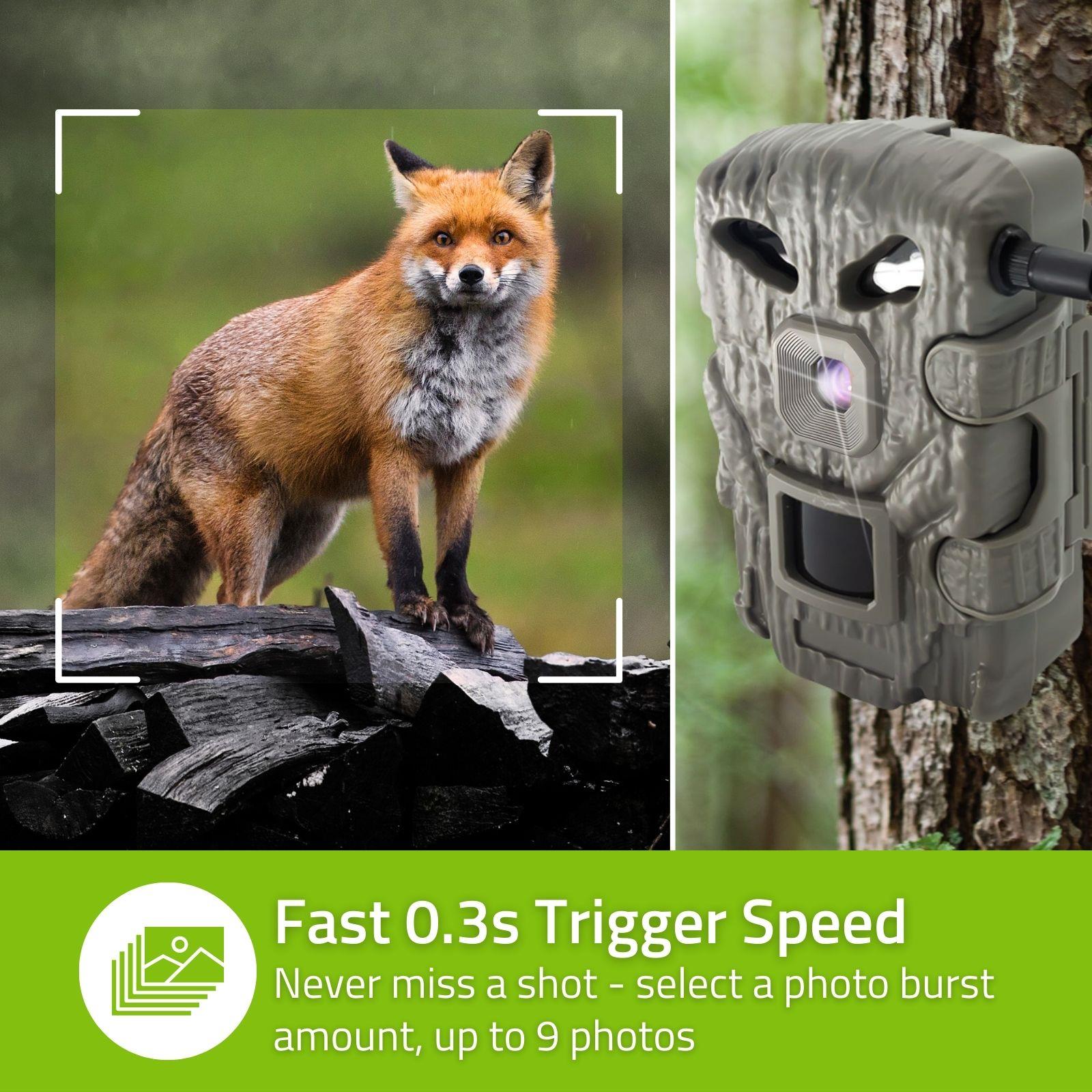 Nedis Wildlife Camera 4G LTE Sim HD Trail Camera 30MP 50 Degree with Time Lapse 20m Black LED Night Vision Motion Activated Hunting Camera IP65 Waterproof 0.3s Trigger Time for Wildlife Monitoring