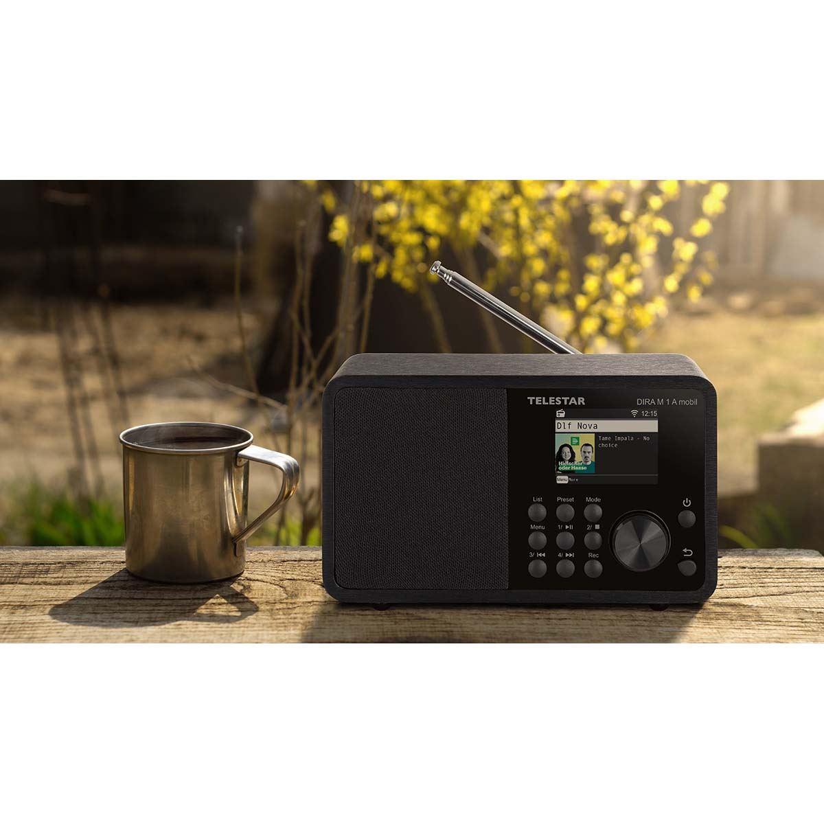 Telestar DIRA M 1 A Mobile EWF Battery-operated Mono Multifunction Radio DAB+ / FM / Internet / Bluetooth Black