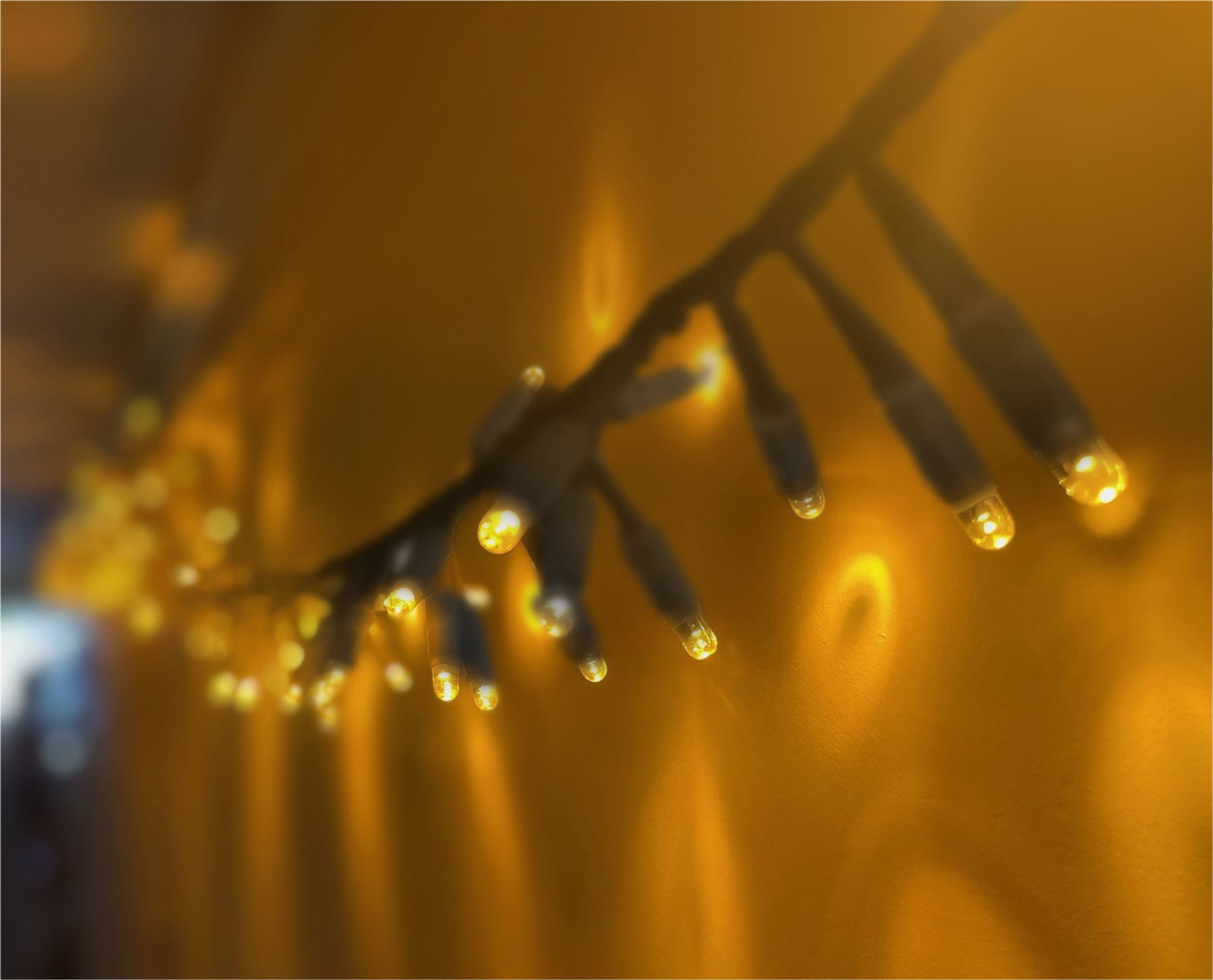5m Easy-Connect Copper Gold Warm White 250 LED Cluster String Lights With Interconnectable Black Rubber Cable