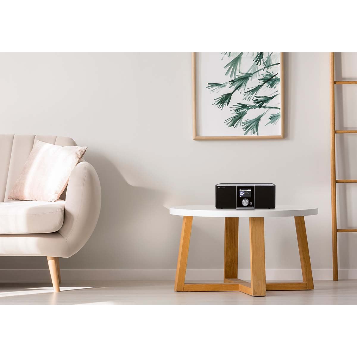 Telestar Telestar DIRA S 20 C Cable (DVB-C) and Internet stereo Radio