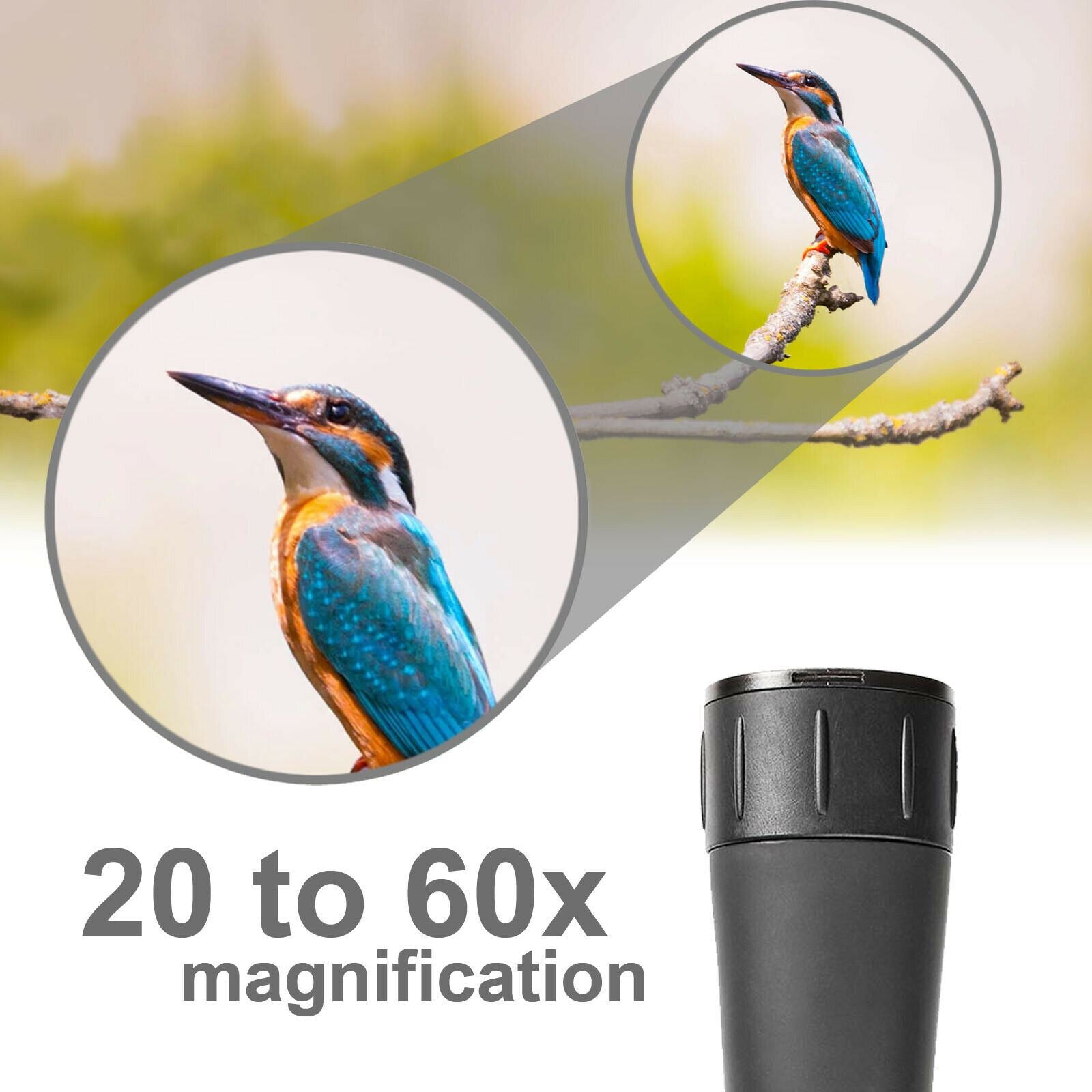 Nedis Spotting Scope | Magnification range: 20-60 | Objective lens diameter: 60 mm | Field of view: 38 m | Dioptric correction | Travel bag included | Black