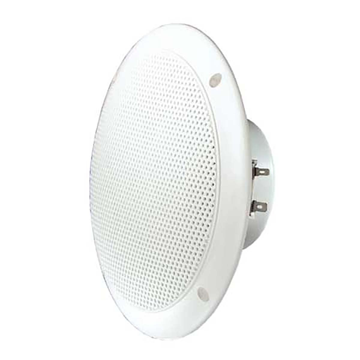 Visaton FR 16 WP - 4 Ohm Saltwater resistant 16 cm (6.5") full-range speaker - White