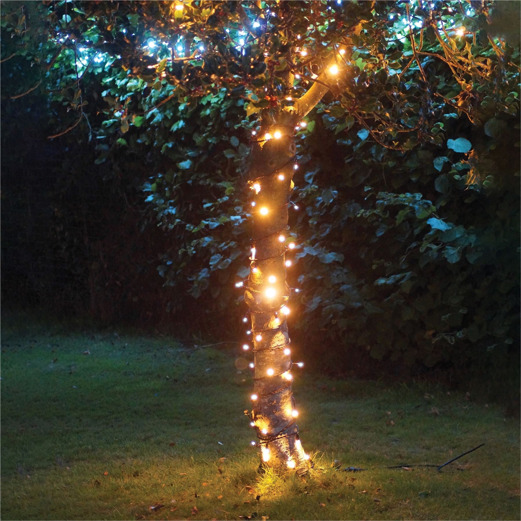 5m Easy-Connect Copper Gold Warm White 250 LED Cluster String Lights With Interconnectable White Rubber Cable