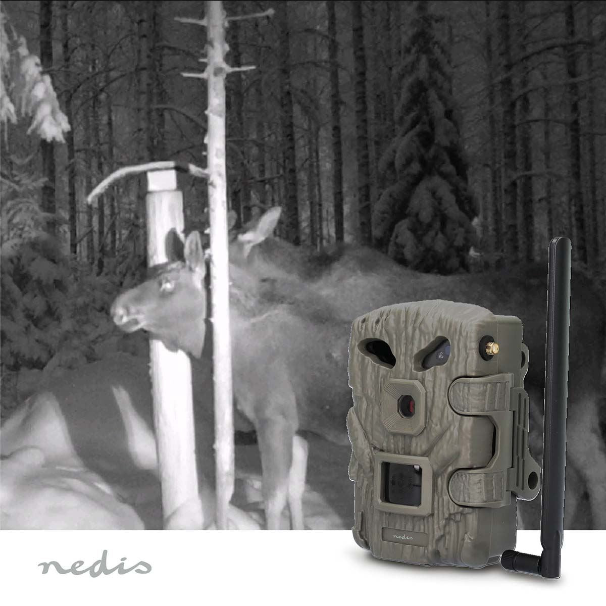 Nedis Wildlife Camera 4G LTE Sim HD Trail Camera 30MP 50 Degree with Time Lapse 20m Black LED Night Vision Motion Activated Hunting Camera IP65 Waterproof 0.3s Trigger Time for Wildlife Monitoring
