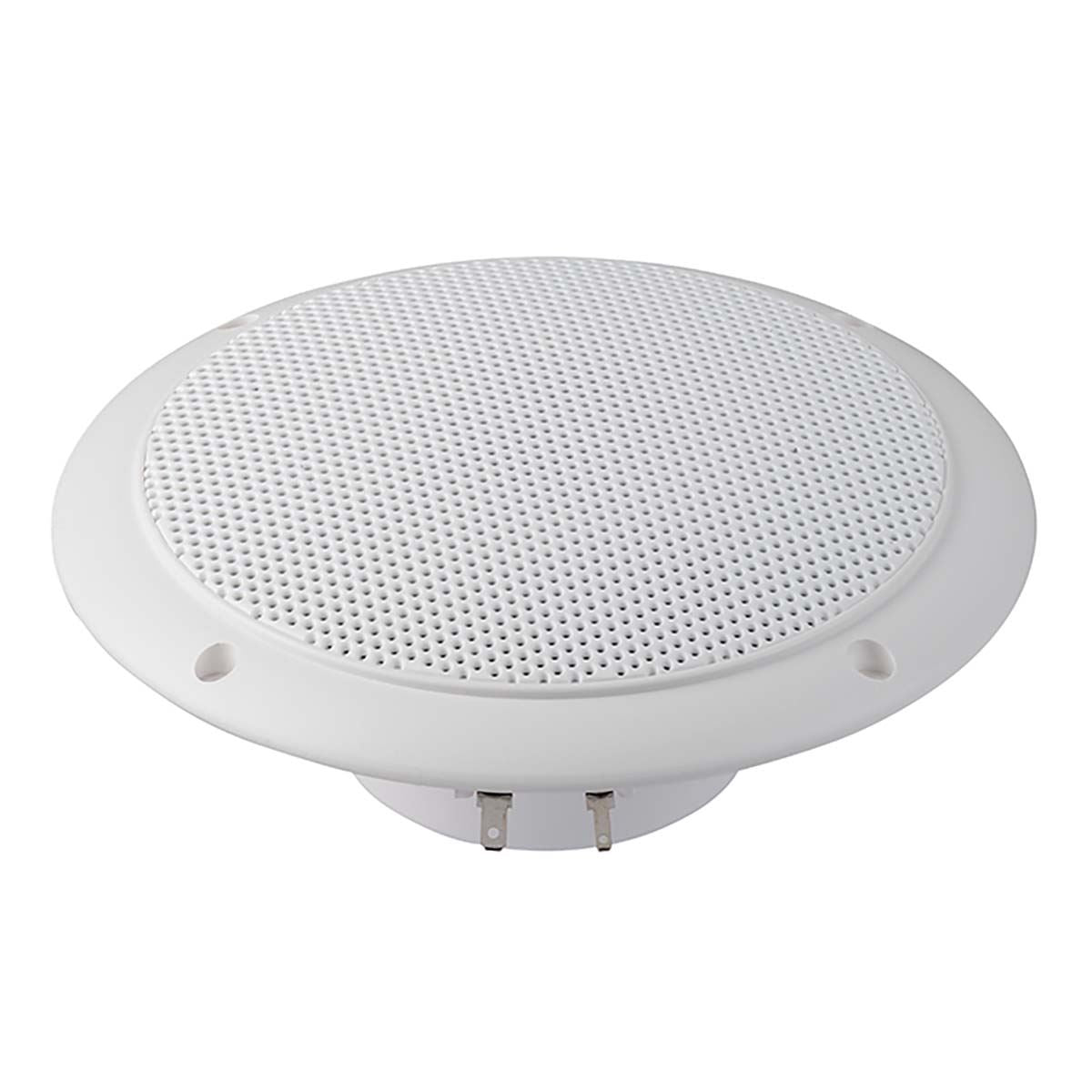 Visaton FR 16 WP - 4 Ohm Saltwater resistant 16 cm (6.5") full-range speaker - White