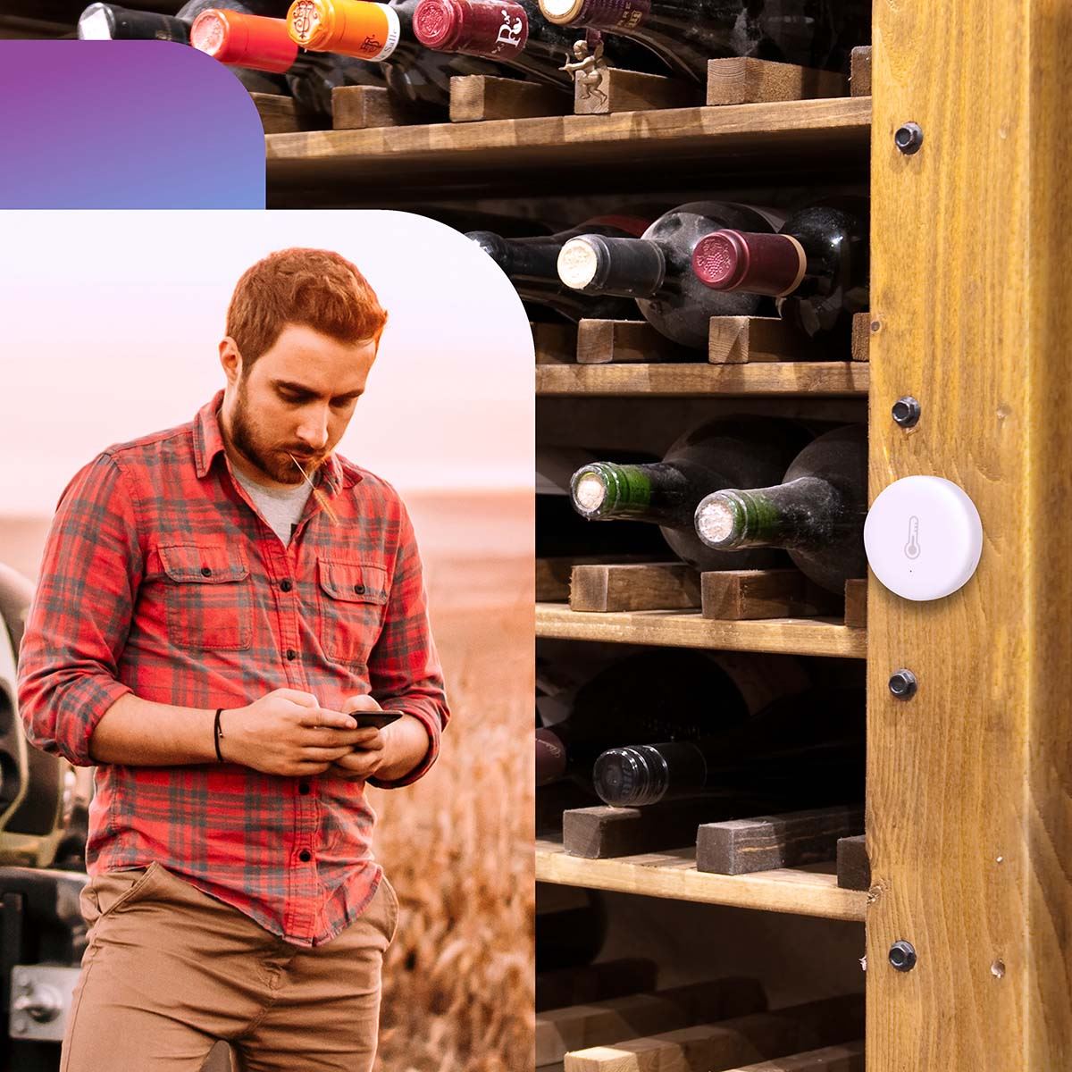 Alecto Smart Zigbee Wi-Fi Wireless Thermometer and Hygrometer, Ideal for Cellar, Shed, Greenhouse, Climate, Wine cabinet