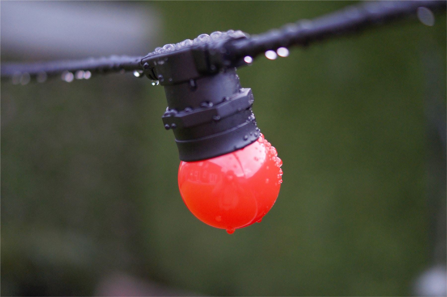 Easy-Connect Festoon 2W Red Coloured LED Golf Ball Anti Shatter Polycarbonate G45 E27