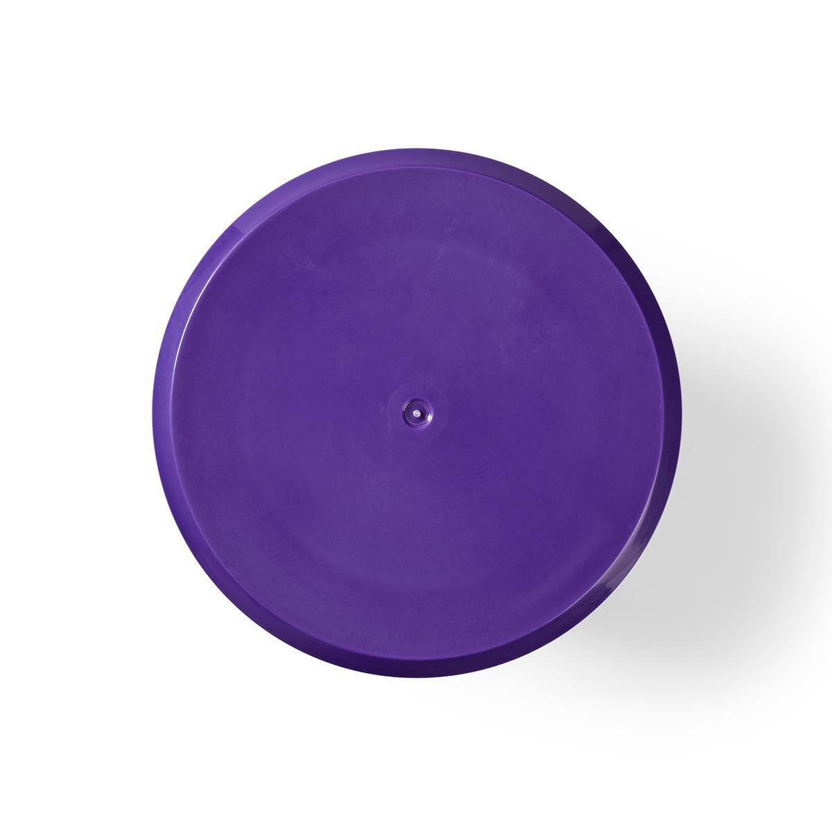 Nedis Vacuum Cleaner Cartridge Filter | Replacement for: Dyson | V10, SV12 | Motor Filter