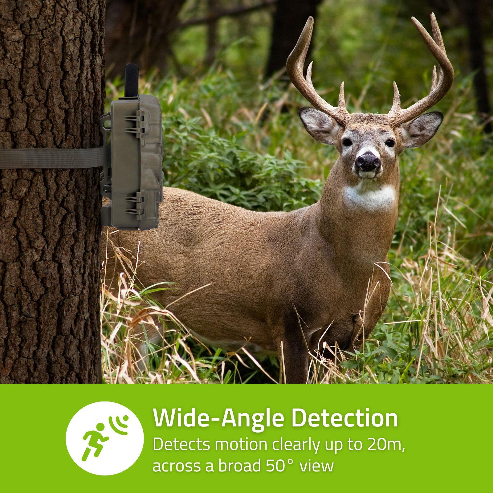 Nedis Wildlife Camera 4G LTE Sim HD Trail Camera 30MP 50 Degree with Time Lapse 20m Black LED Night Vision Motion Activated Hunting Camera IP65 Waterproof 0.3s Trigger Time for Wildlife Monitoring