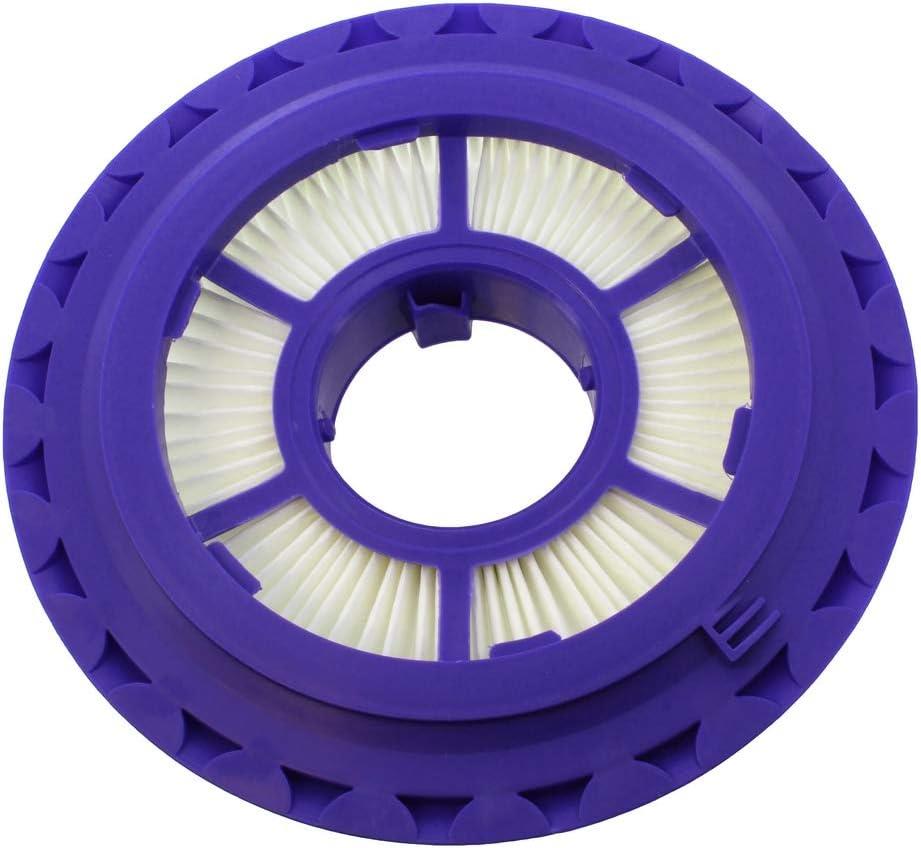 Dyson DC41, DC41 Mk2, DC43, DC55, DC65, DC66 Series Post Motor HEPA Filter