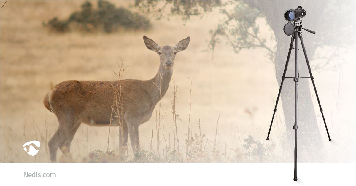 Nedis Spotting Scope | Magnification range: 20-60 | Objective lens diameter: 60 mm | Field of view: 38 m | Dioptric correction | Travel bag included | Black