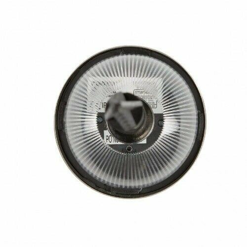 Ranex LED Solar Garden Lights with Pins IP44 Brushed Stainless Steel - 5 Pack