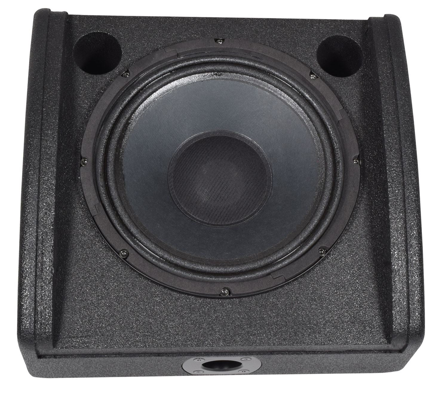 Citronic CM10 Passive Wedge Speaker 250Wrms