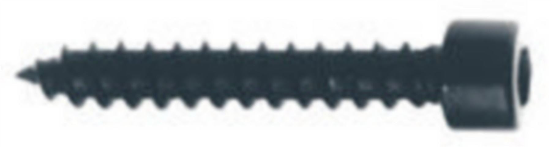 Visaton Screws (cylinder head) 5 x 30 mm