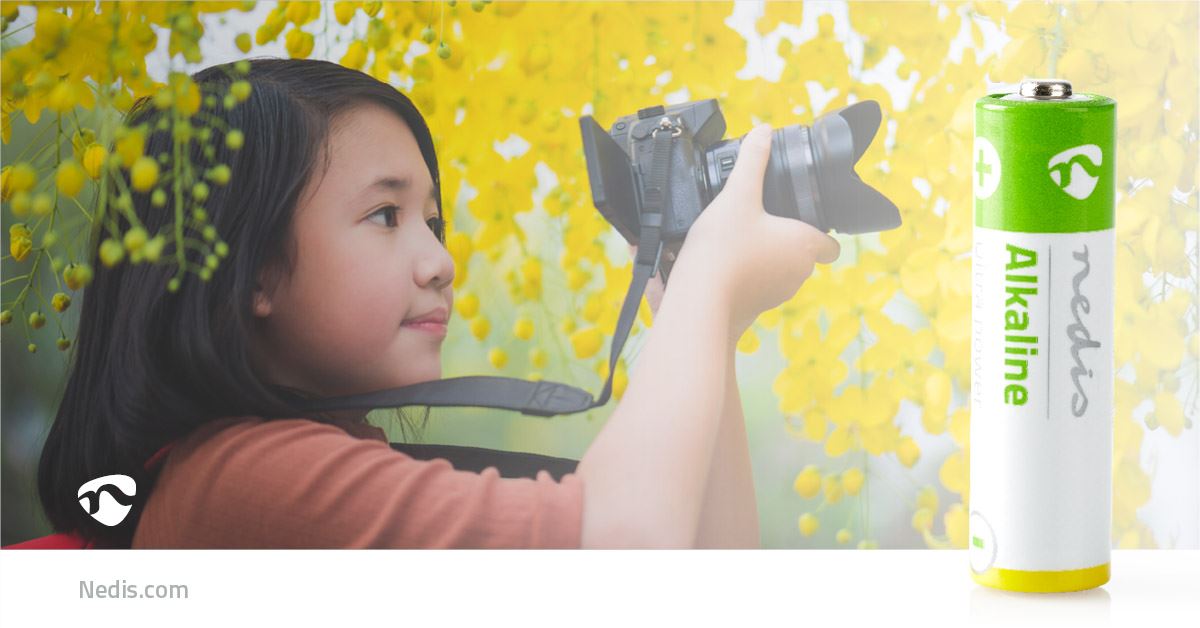 Nedis Alkaline Battery AA | 1.5 V DC | 20-Pack