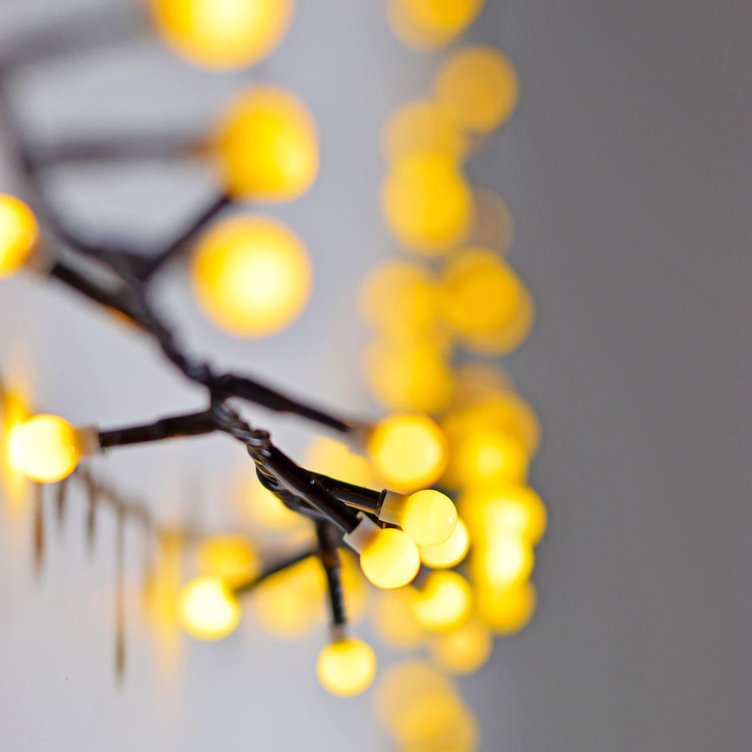 Lyyt 12m 500 LED Mini Berry Warm White Lights Indoor/Ourdoor with Timer & Remote