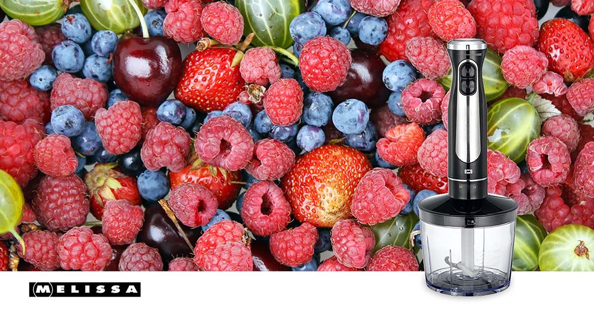 MELISSA 600W Hand Blender, Handheld Stick Immersion Mixer with Stainless Steel Blades, Ideal for Smoothies Shakes Baby Food Soup Purees & Sauces