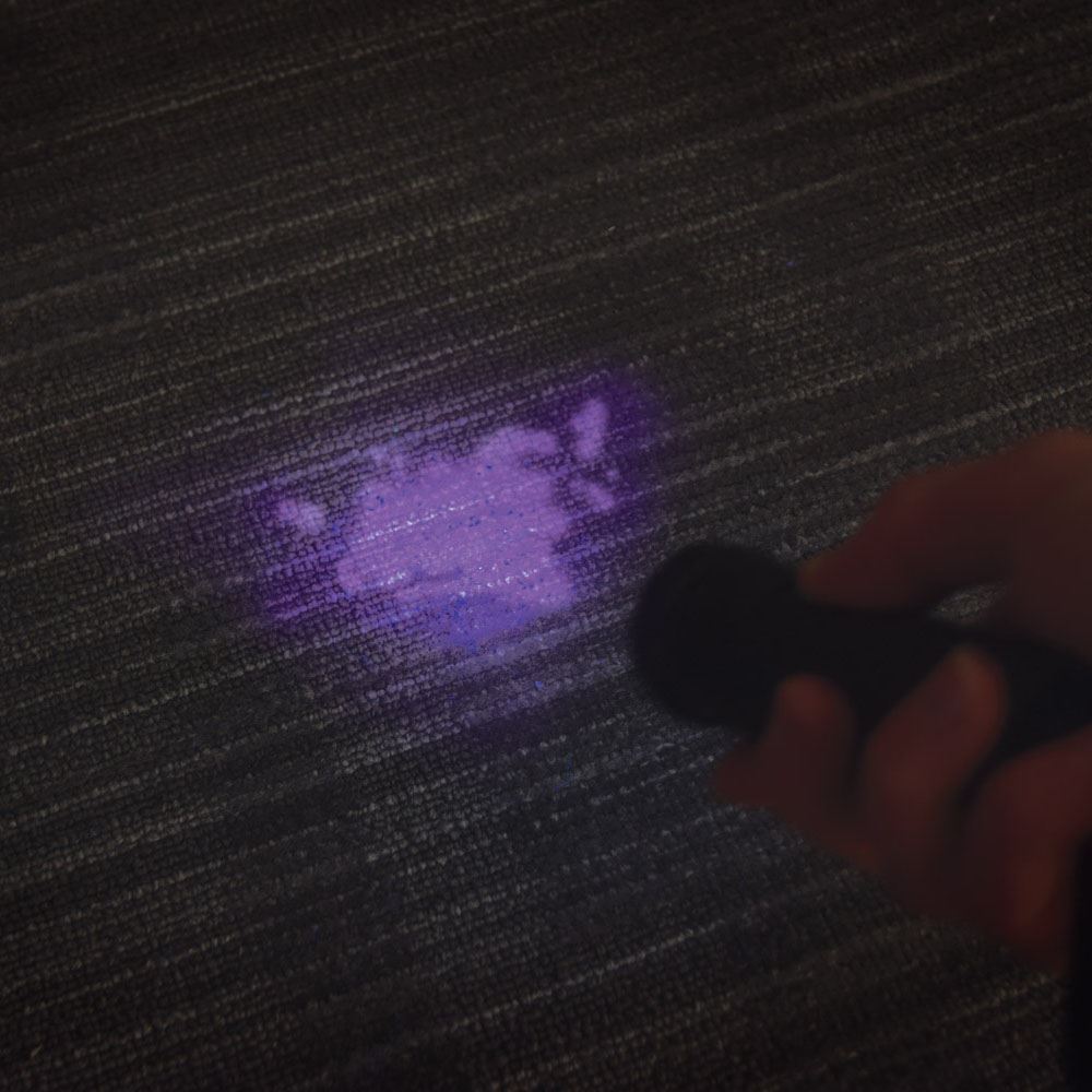 Mercury 9 LED UV Black Light Torch Ultra Violet Gas Leak, Bank Note Detection, Forensic Blood, Urine Detector & Ghost Hunting