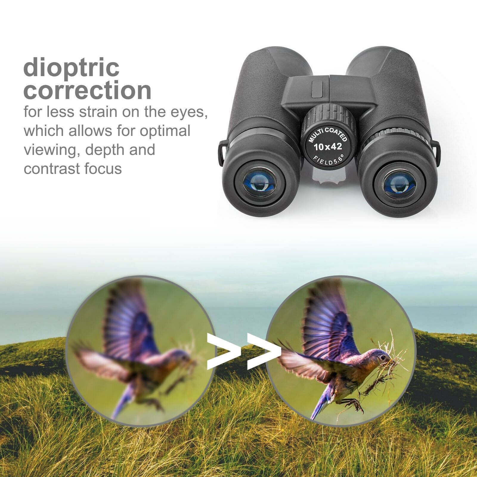 Nedis Binoculars 10x42 Roof Prism, Lightweight Travel Model with Rubber Grip, Dioptric Correction & 12mm Eye Relief for Spectacle Wearers, Black, Blue Lens