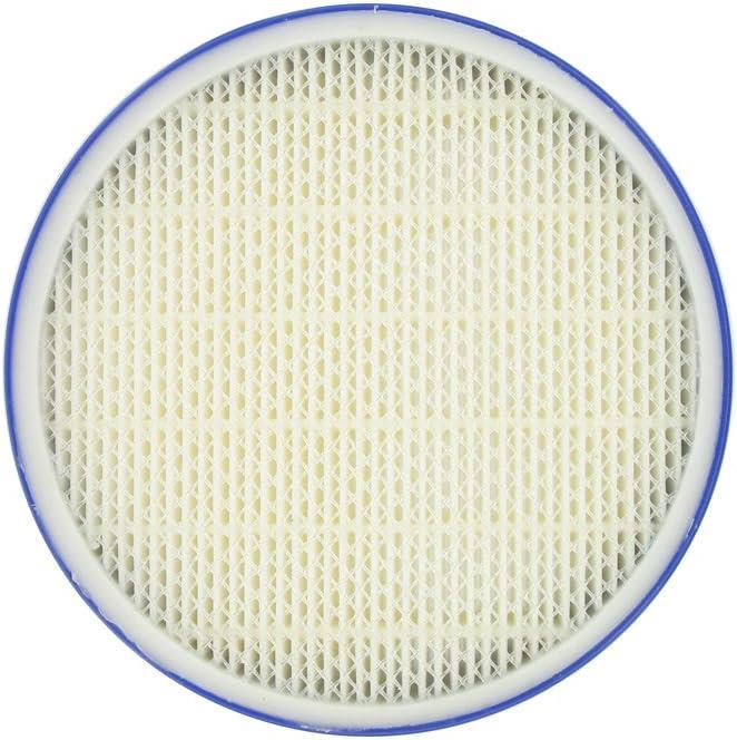 Dyson DC27 Post-Motor HEPA Filter