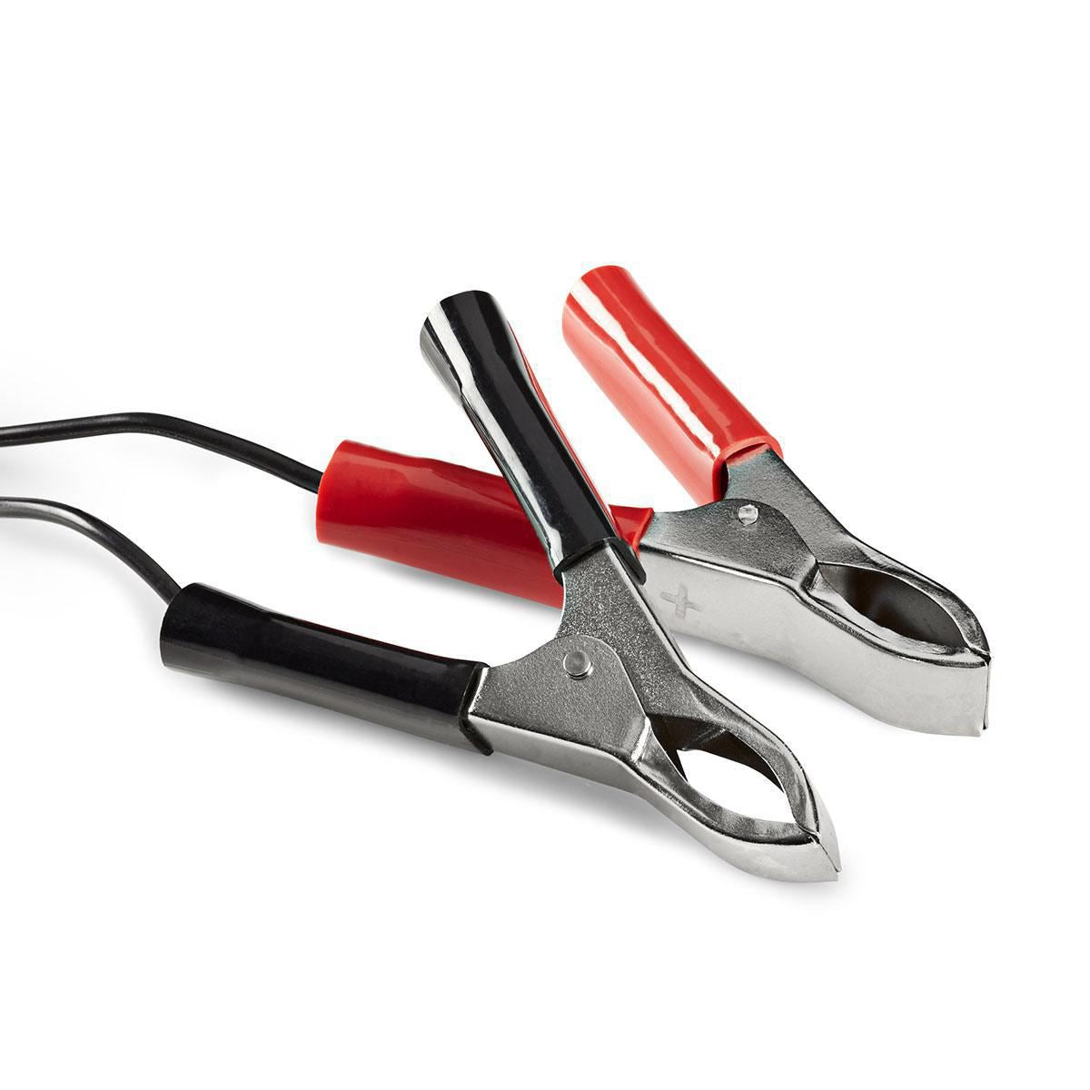 Nedis Lead-Acid Battery Charger | 2.3 / 6.9 / 13.8 V DC | 0.6 A | Trickle charging | Battery Clamps | Battery type: AGM / Gel / Lead Acid / SLA / VRLA | Black