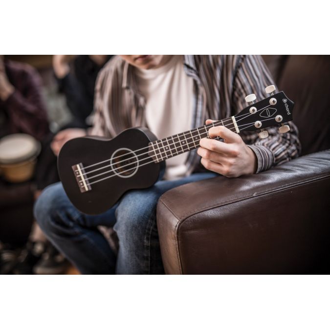 chord soprano ukulele for beginners 12 fret black boxed2me