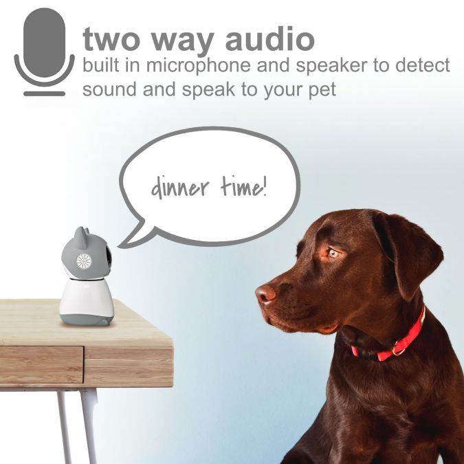 Smart Wi-Fi Pet Feeder and IP Camera, 3.7L Programmable Automatic Food Dispenser with 1080p HD Cam, Motion Sensor, Portion Control and 2-Way Audio, for Dogs, Cats, Rabbits, and Small Animals