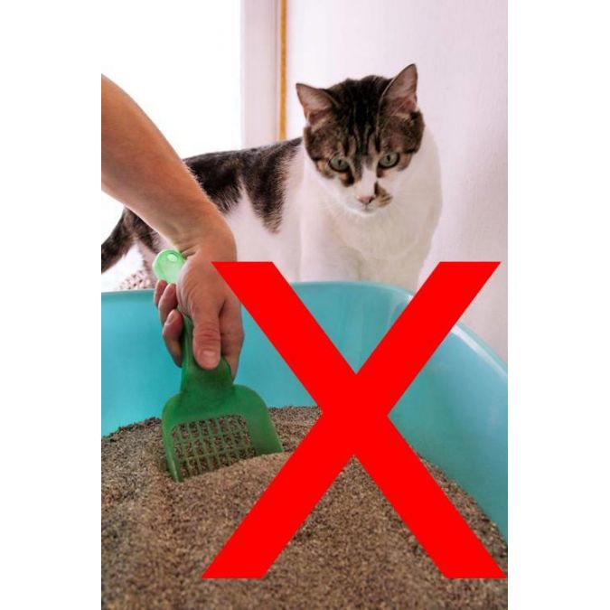 18L Cat Litter Vacuum Cleaner 800W with HEPA Filter